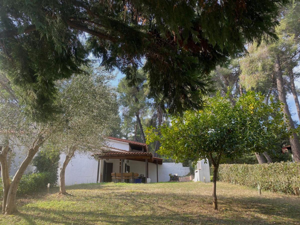 Sani Garden House Villa Eksteriør billede